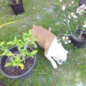 Meet your Posher, EsmÃ¨